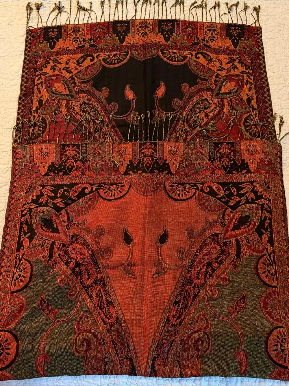 Pashmina Scarf Shawl 27 x 77 with Fringe Tassels Fall Colors Paisley Boho